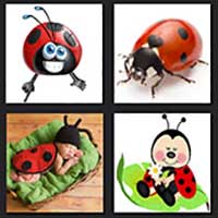 4 pics 1 movie answer cheat Ladybugs