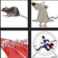 4 pics 1 movie answer cheat Rat Race