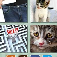 4 pics 1 song answers and cheats level 551
