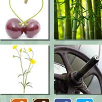 4 pics 1 song answers and cheats level 786